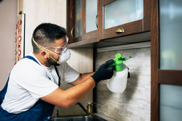 Trusted Troutman, NC Pest Control Experts