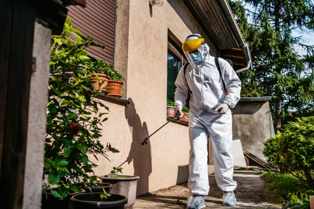 Best Cockroach Control Services  in Troutman, NC
