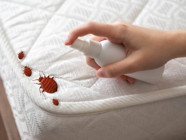Best Pest Inspection Near Me  in Troutman, NC