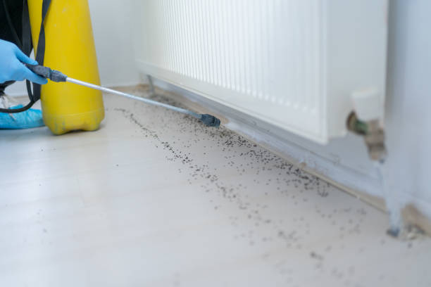 Best Ant Control Services  in Troutman, NC