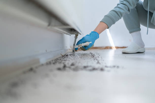 Best Best Pest Control Companies  in Troutman, NC