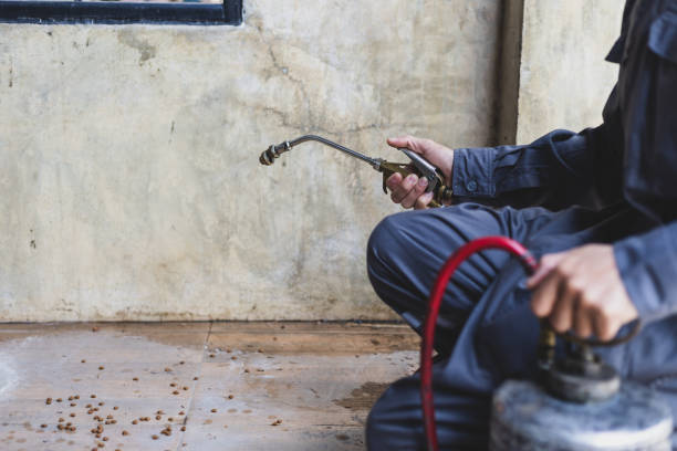 Best Flea Control Services  in Troutman, NC