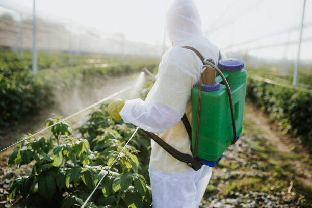 Best Bed Bug Extermination  in Troutman, NC